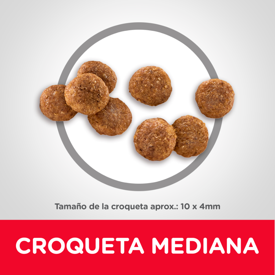 Hills Puppy Healthy Development alimento para perro, , large image number null
