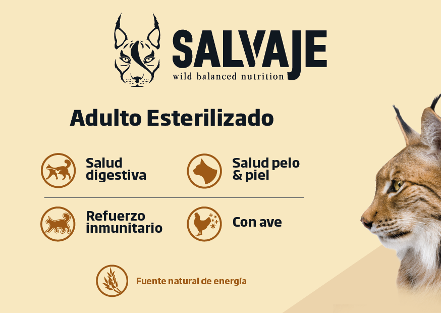 Salvaje cat adult esterilizado, , large image number null