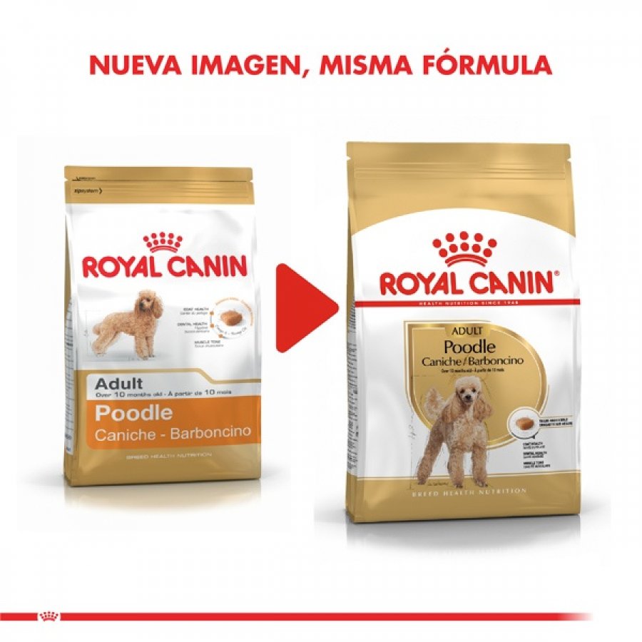 Royal Canin adulto Poodle Adult alimento para perro, , large image number null