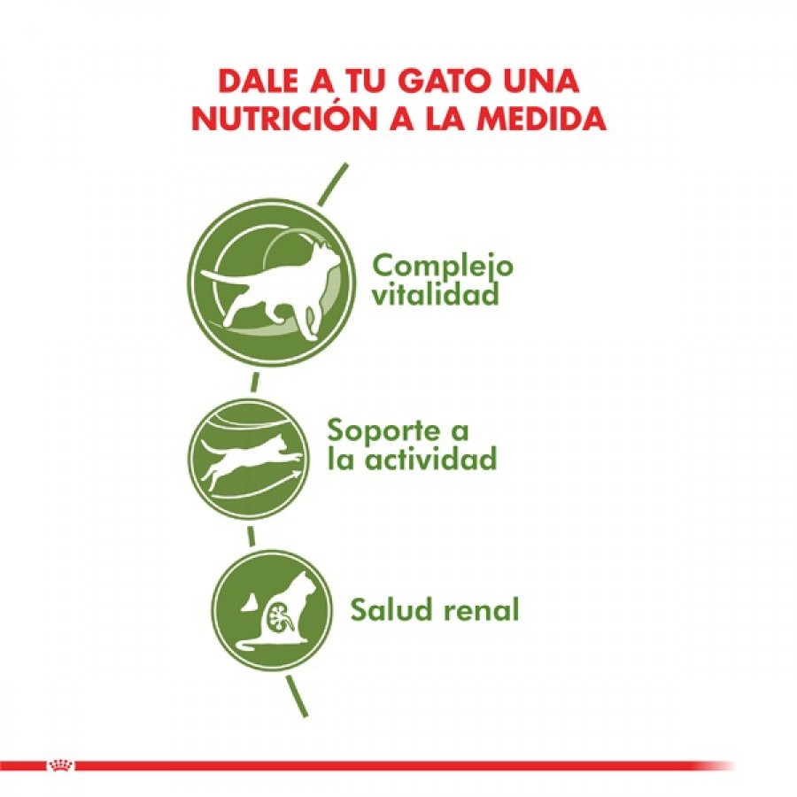 Royal Canin adulto Active 7+ alimento para gato, , large image number null