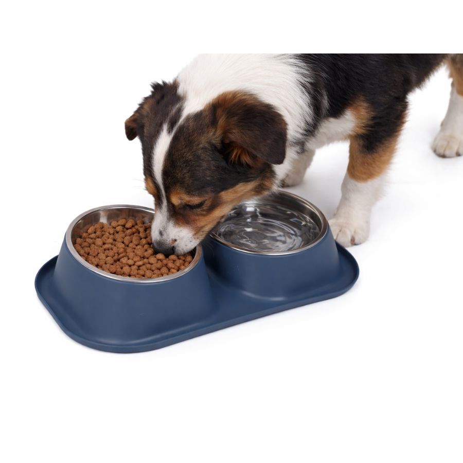 Leeby Comedero doble para perros color azul de acero inoxidable 350ml, , large image number null