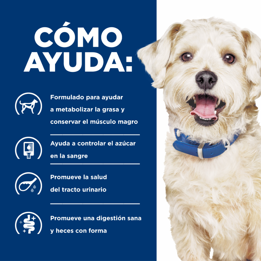 Hills Canine W/D Digestive / Weight / Glucose Mgmt., , large image number null