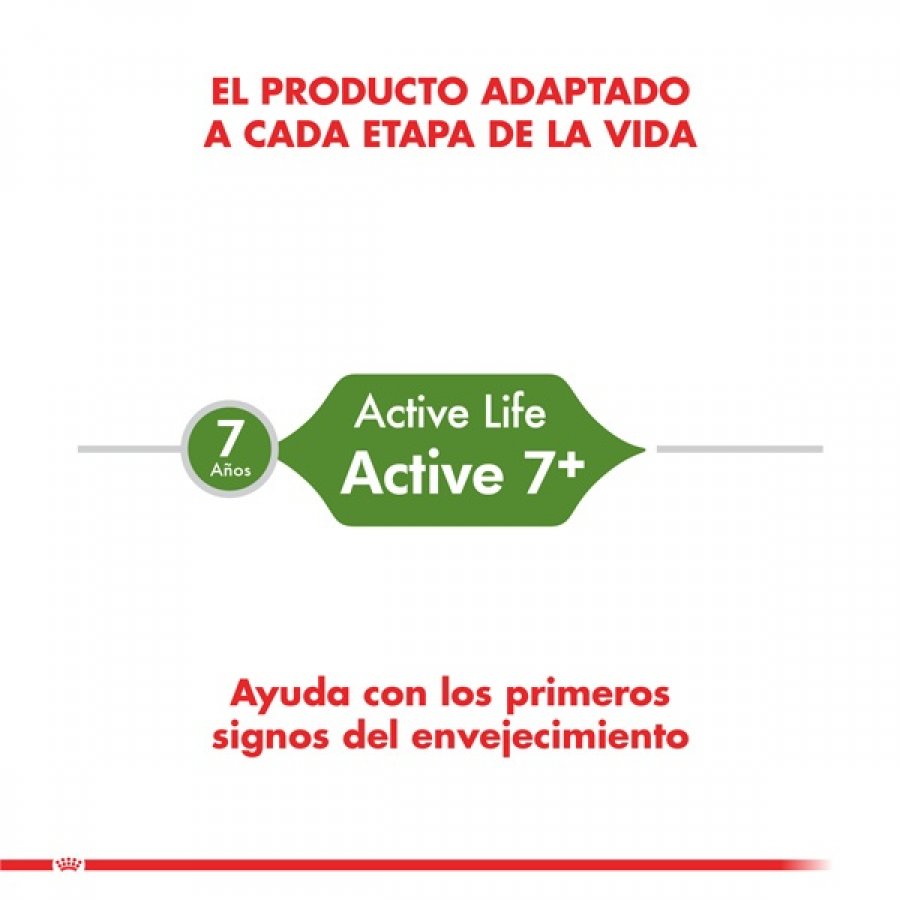 Royal Canin adulto Active 7+ alimento para gato, , large image number null