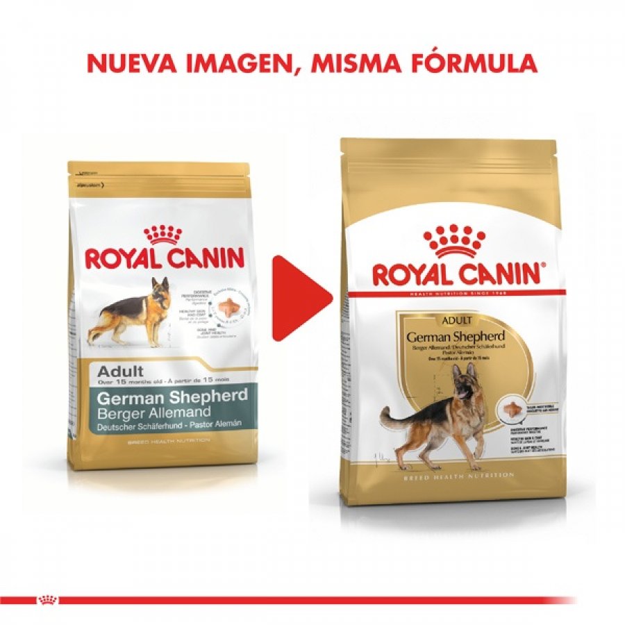 Royal Canin adulto German Shepherd alimento para perro, , large image number null