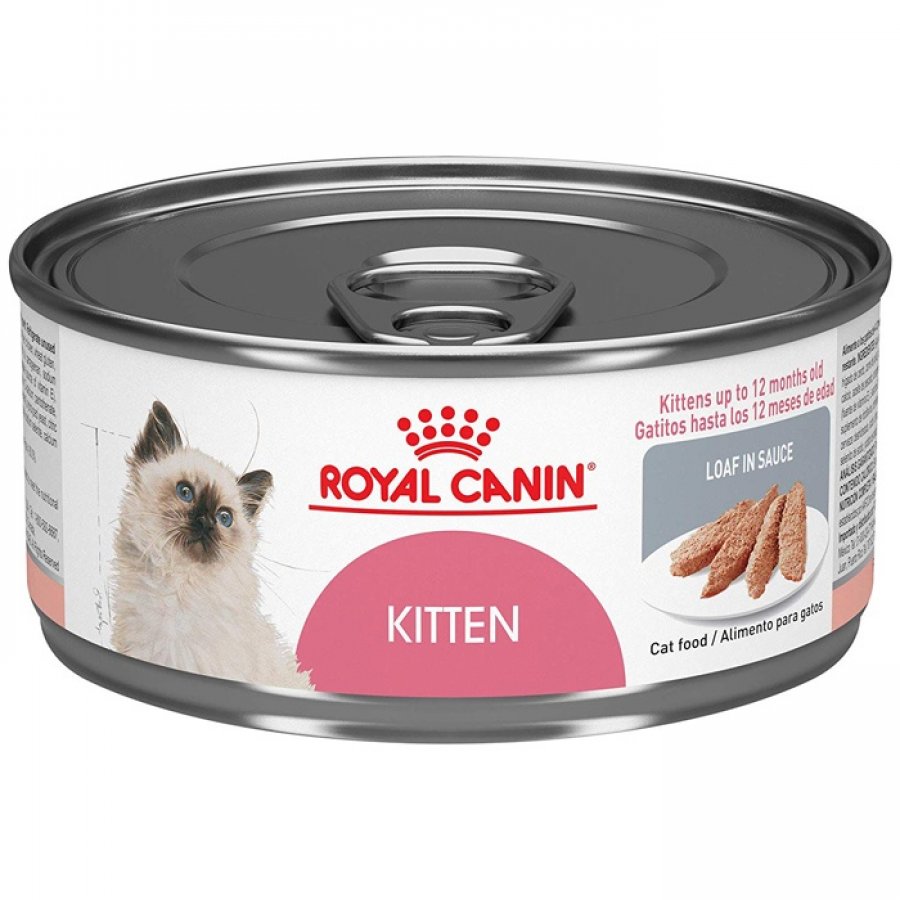 Royal canin kitten alimento húmedo para gatos 165 GR, , large image number null