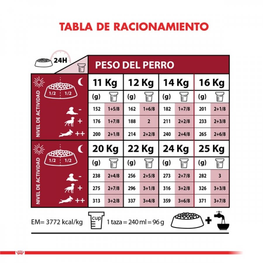 Royal Canin adulto Medium Adult alimento para perro, , large image number null