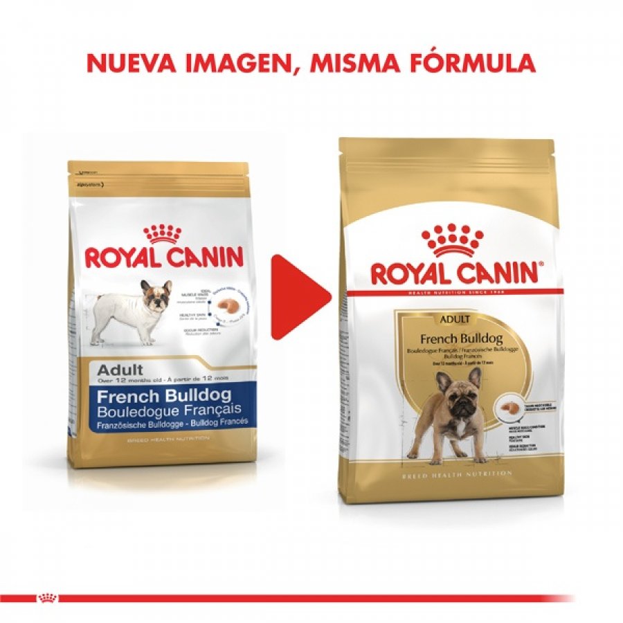 Royal Canin adulto Bulldog Frances alimento para perro, , large image number null