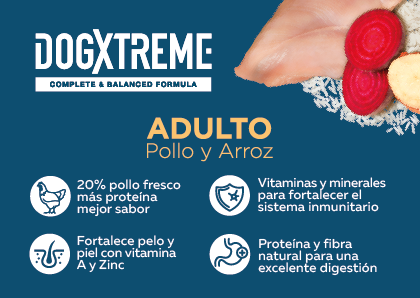 Dogxtreme Adult pollo y arroz alimento para perro, , large image number null