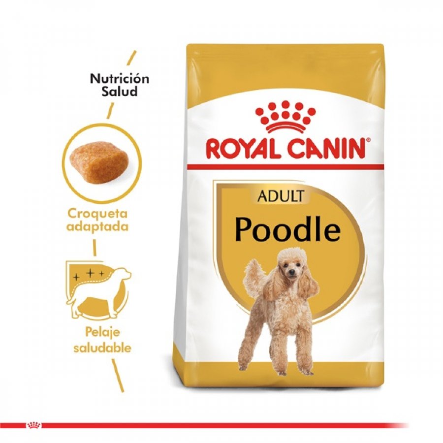 Royal Canin adulto Poodle Adult alimento para perro, , large image number null