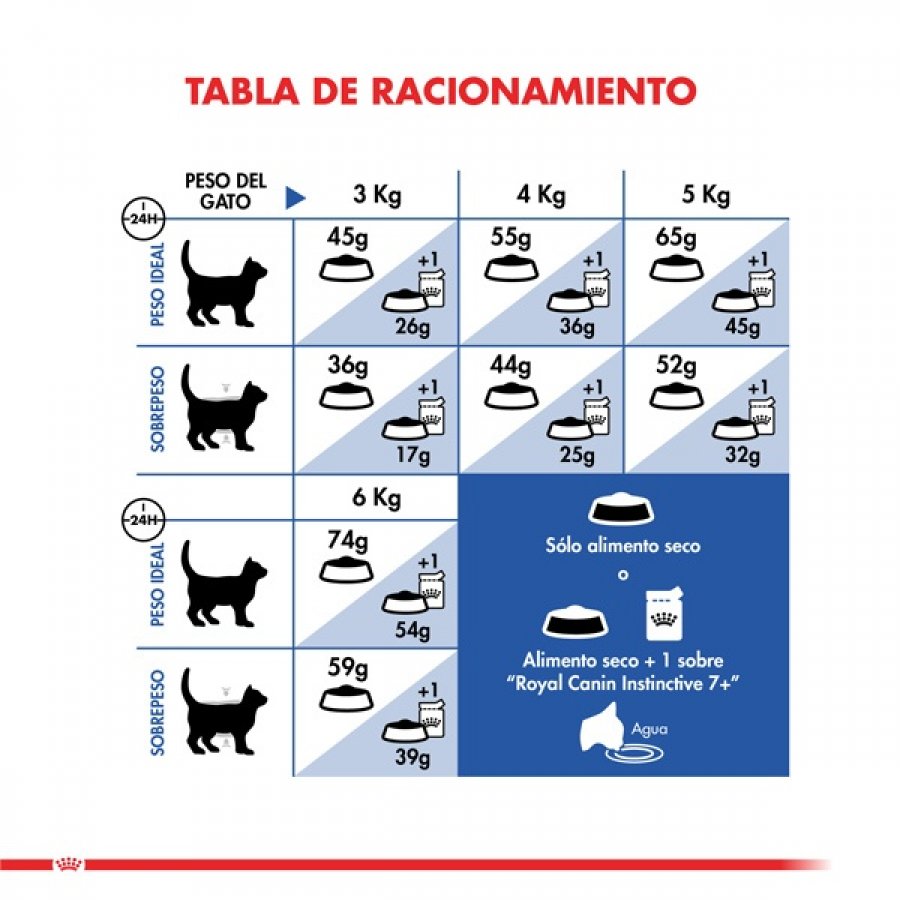 Royal Canin Alimento Seco Gato Adulto Indoor +7, , large image number null