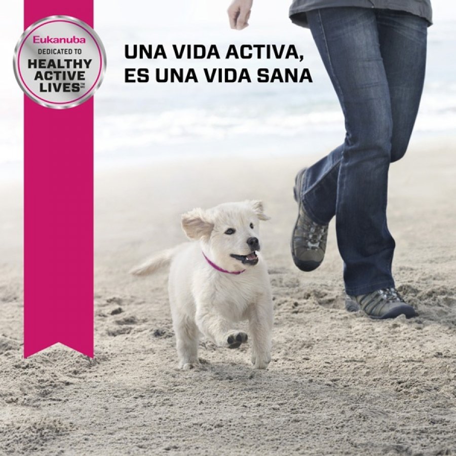 Eukanuba Puppy Large alimento para perro, , large image number null