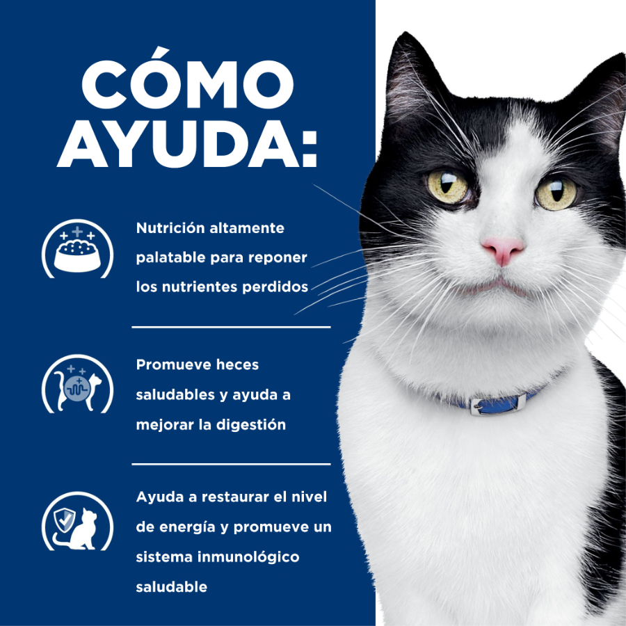 Hills lata feline i/d cuidado digestivo alimento húmedo para gatos 156 GR, , large image number null