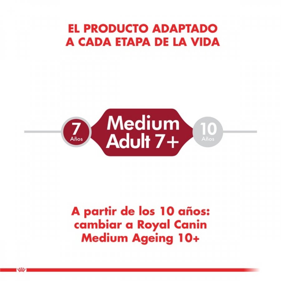 Royal Canin Alimento Seco Perro Adulto Medium Adult 7+, , large image number null