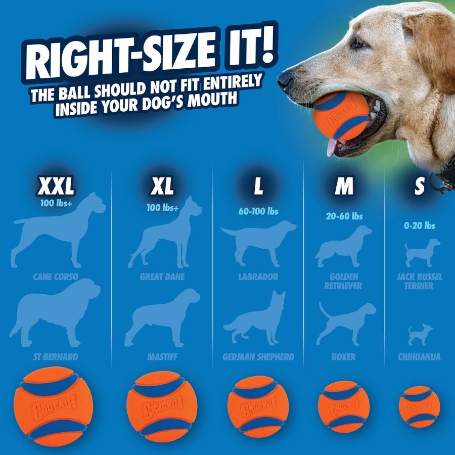 Chkit ultra ball 1-pk med, , large image number null
