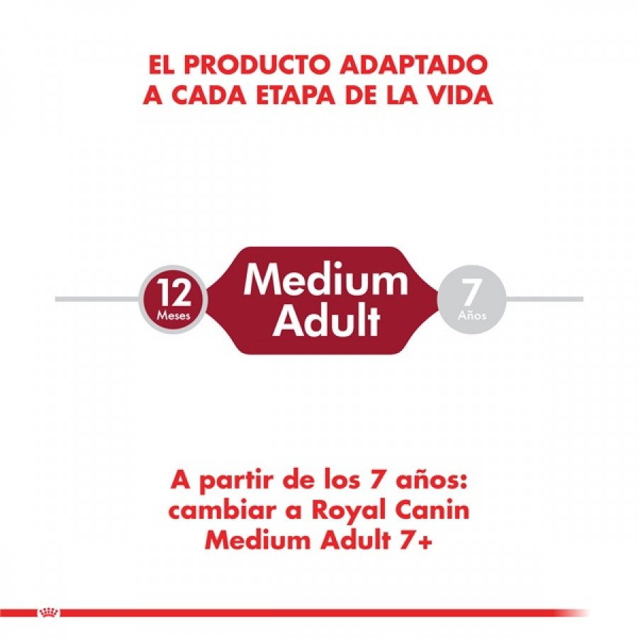 Royal Canin adulto Medium Adult alimento para perro, , large image number null