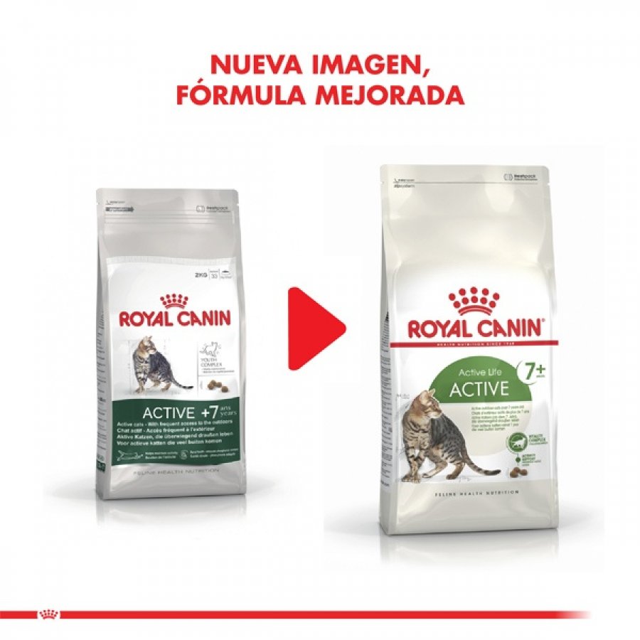 Royal Canin adulto Active 7+ alimento para gato, , large image number null