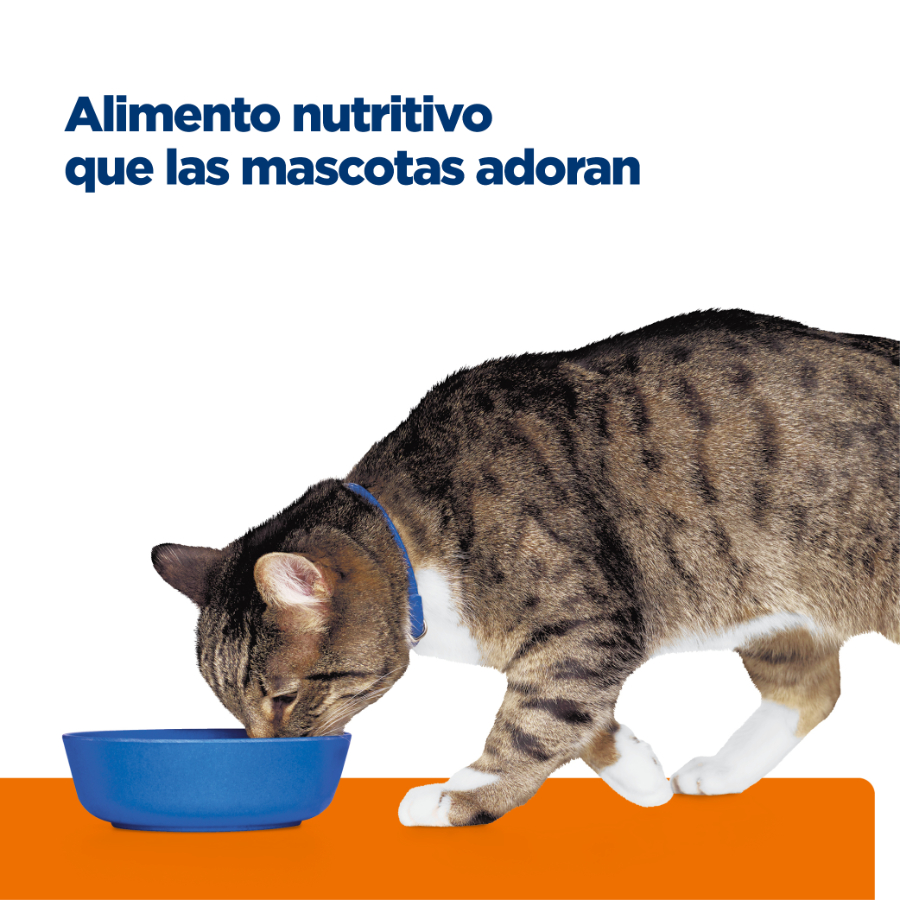 Hills feline s/d urinary care 1.81 KG, , large image number null