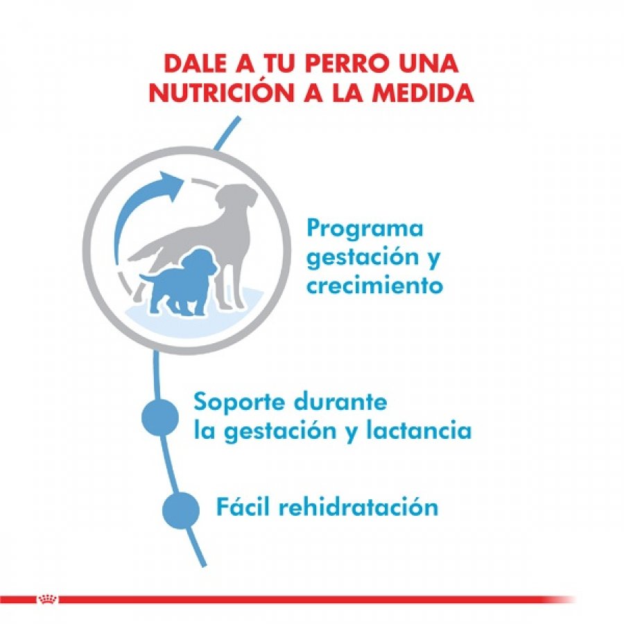 Royal Canin Cachorro Medium Starter alimento para perro, , large image number null