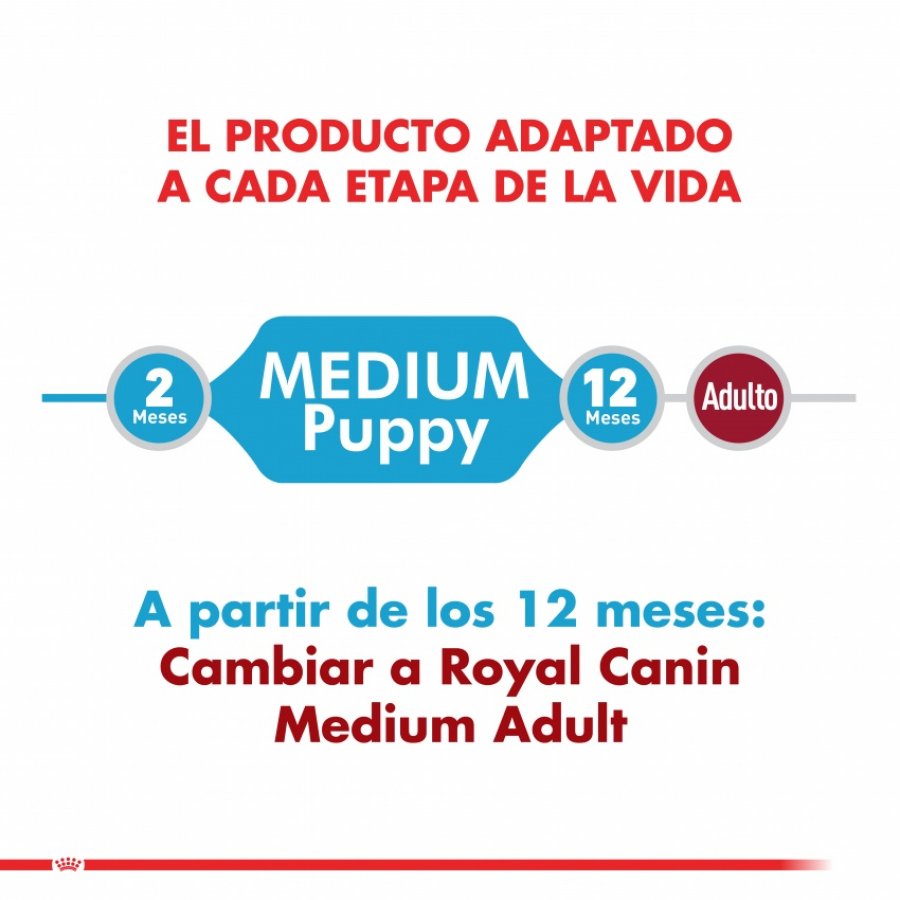 Royal Canin Cachorro Medium Puppy alimento para perro, , large image number null