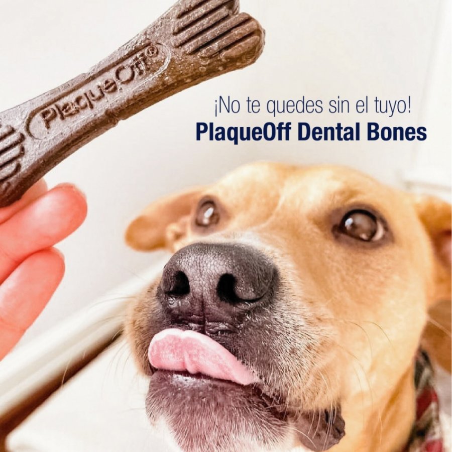 Plaqueoff Bones Para Perro, , large image number null
