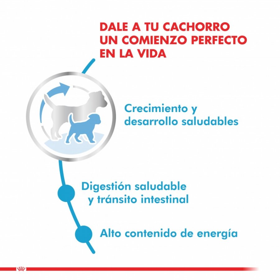 Royal Canin Cachorro X-Small Puppy alimento para perro, , large image number null