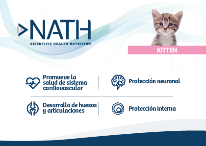 Nath Kitten sabor pollo y arroz alimento para gatos, , large image number null