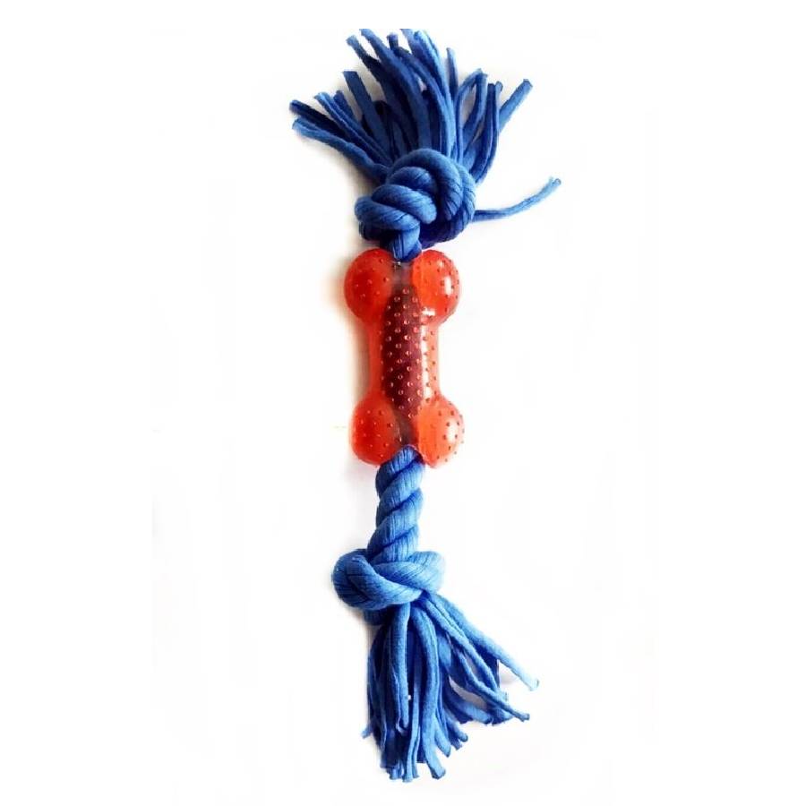 Juguete cuerda con hueso azul
