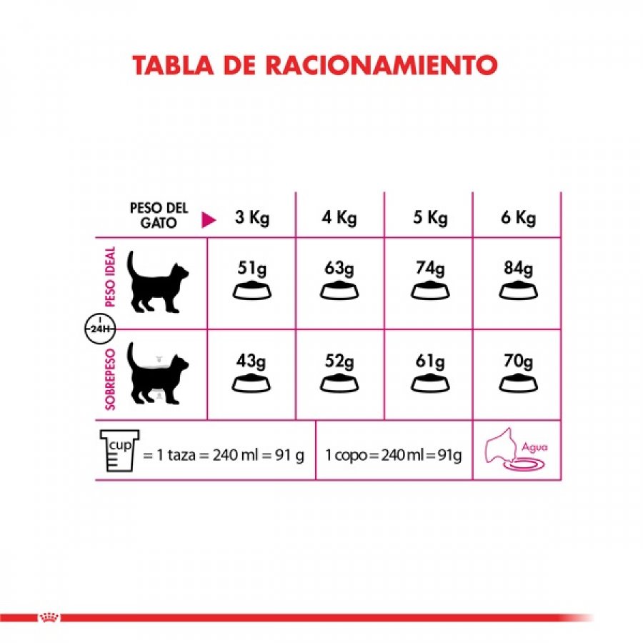 Royal Canin adulto Exigent alimento para gato, , large image number null