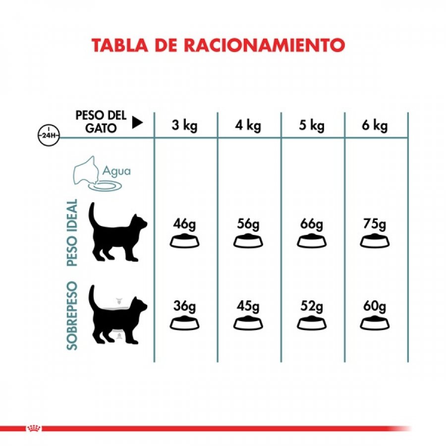 Royal canin alimento seco gato adulto intense hairball 1.5 KG ., , large image number null