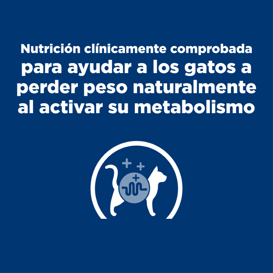 Hills Feline Metabolic alimento para gatos, , large image number null