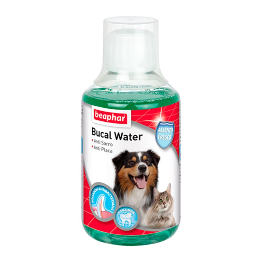 Enjuague bucal pyg 250ML - beaphar