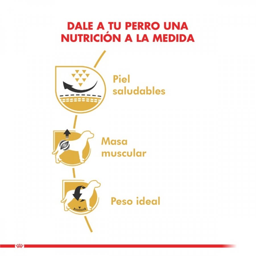 Royal Canin adulto pug adult 2.5 KG alimento para perro, , large image number null