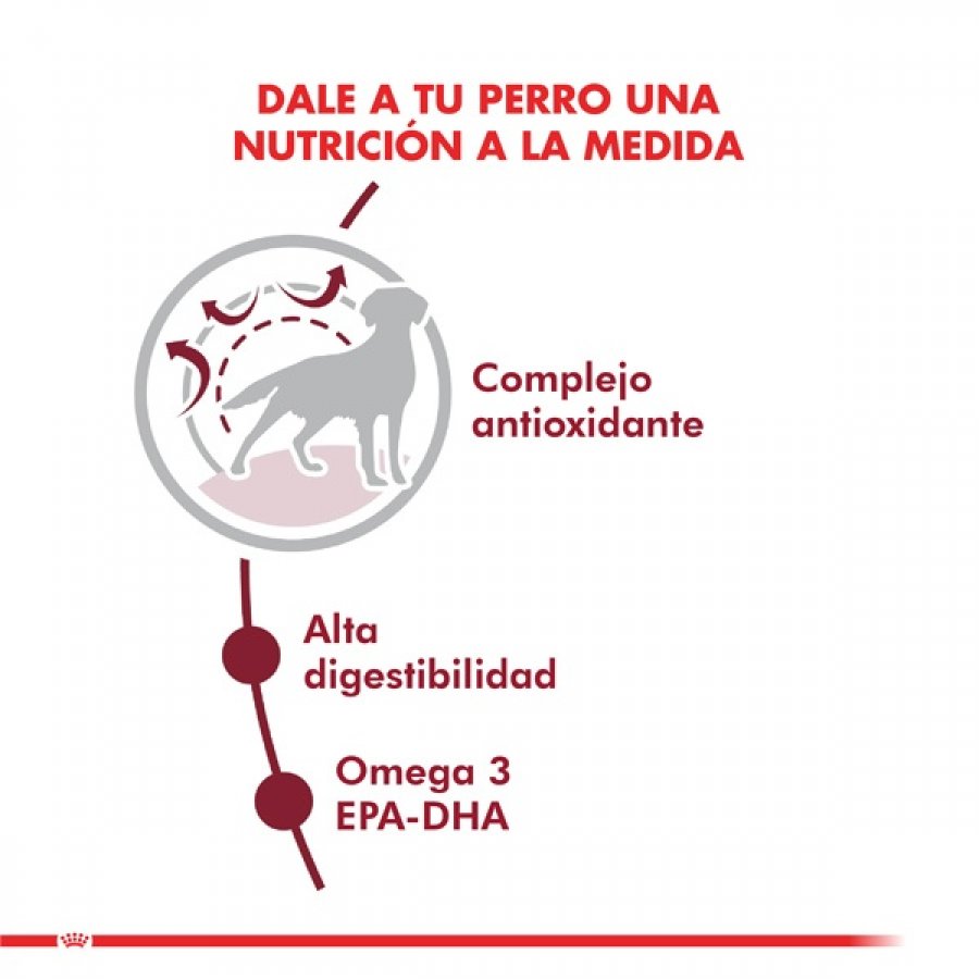 Royal Canin adulto Medium Adult alimento para perro, , large image number null