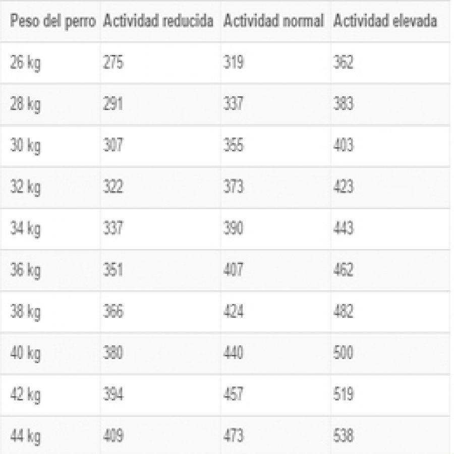 Royal Canin Alimento Seco Perro Adulto Maxi Dermacomfort, , large image number null