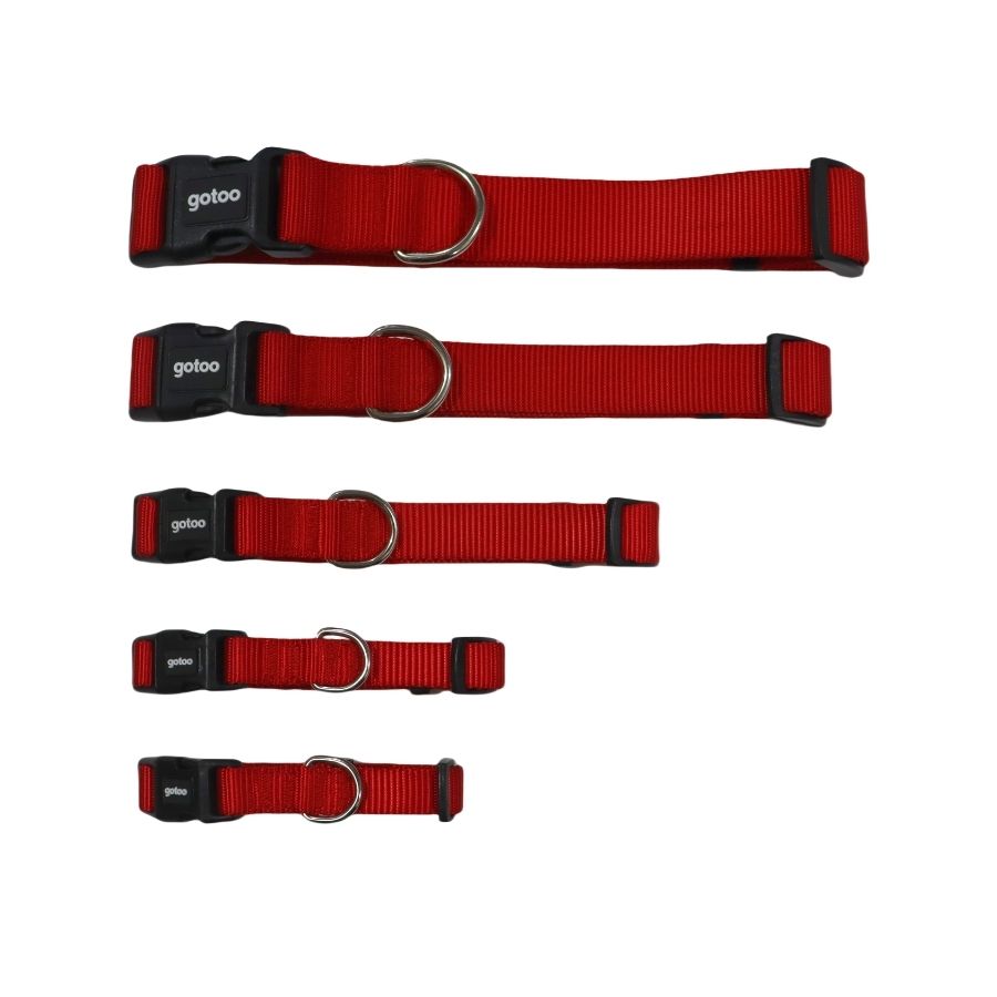 Gotoo collar básico rojo para perro Talla XS, , large image number null