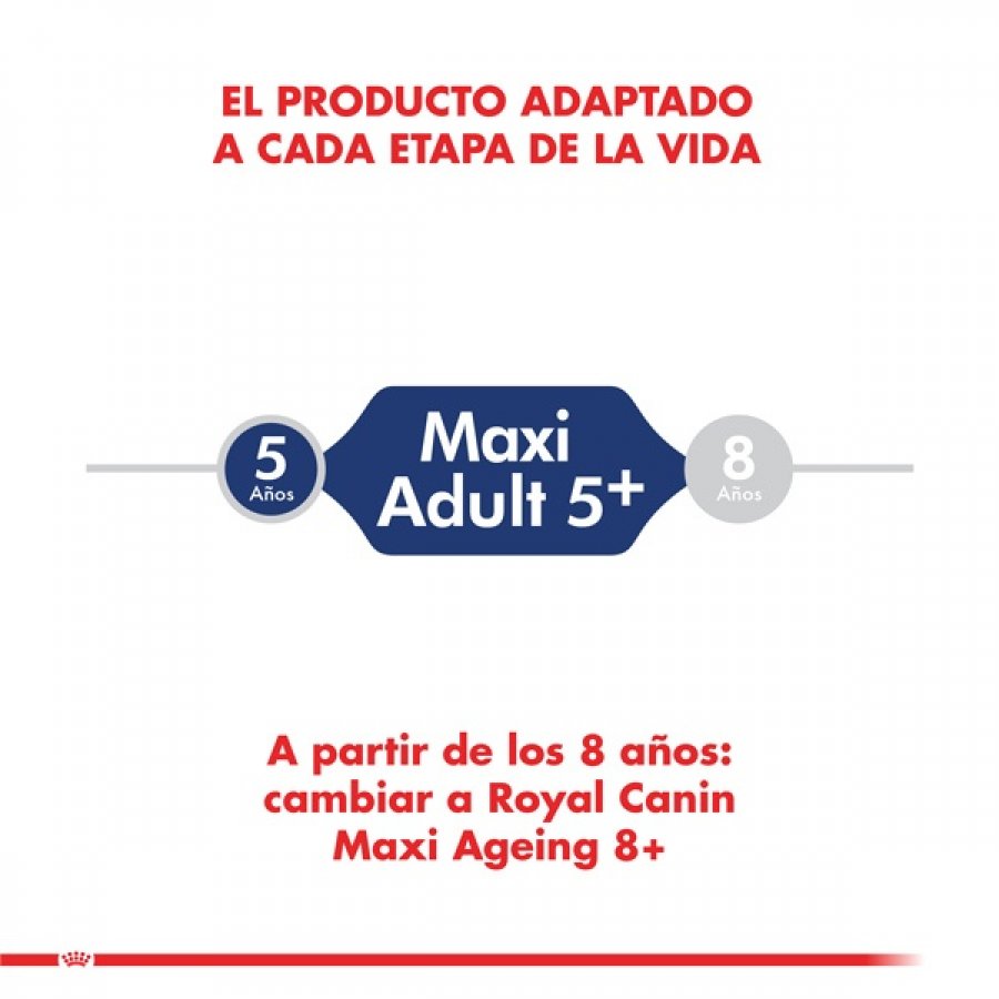 Royal Canin adulto Maxi adulto 5+ alimento para perro, , large image number null