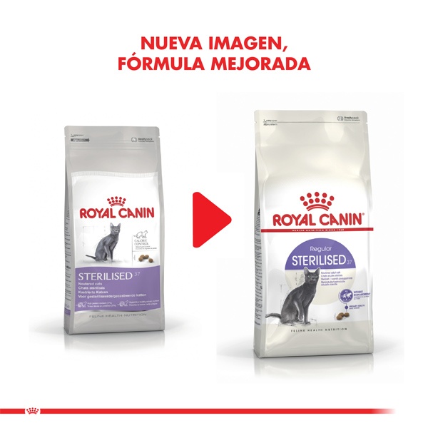 Royal Canin Alimento Seco Gato Adulto Regular Sterilised, , large image number null