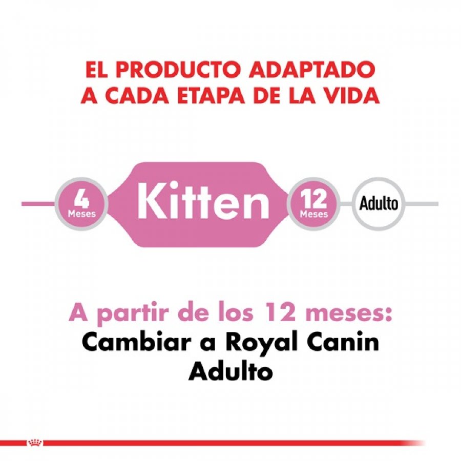 Royal Canin Gatito Felino Kitten alimento para gato, , large image number null