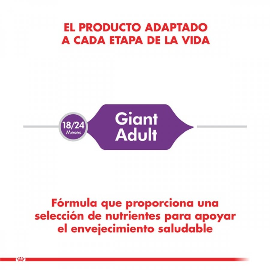 Royal Canin adulto giant adult 15 KG alimento para perro, , large image number null