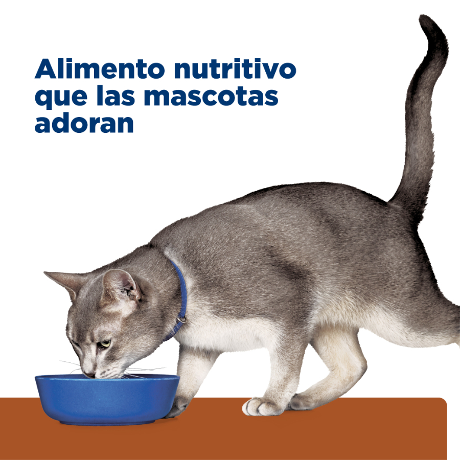 Hills lata feline k/d cuidado riñon alimento húmedo para gatos, , large image number null