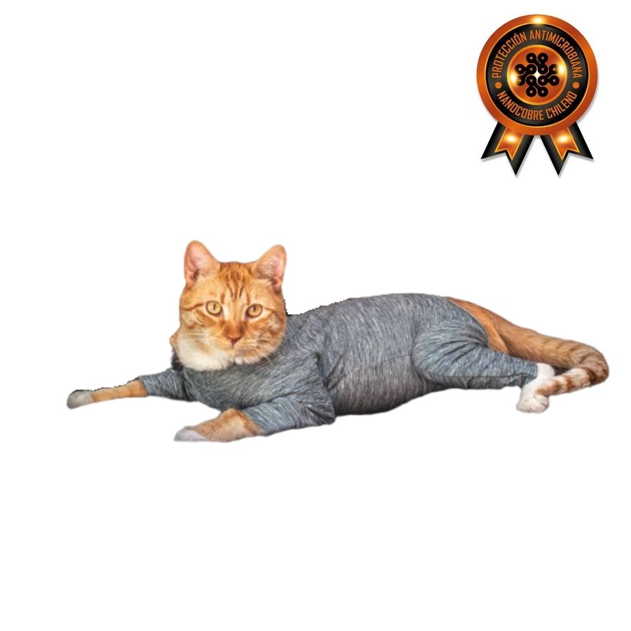 Body nano cobre completo y esterilizaci&oacute;n para gatos