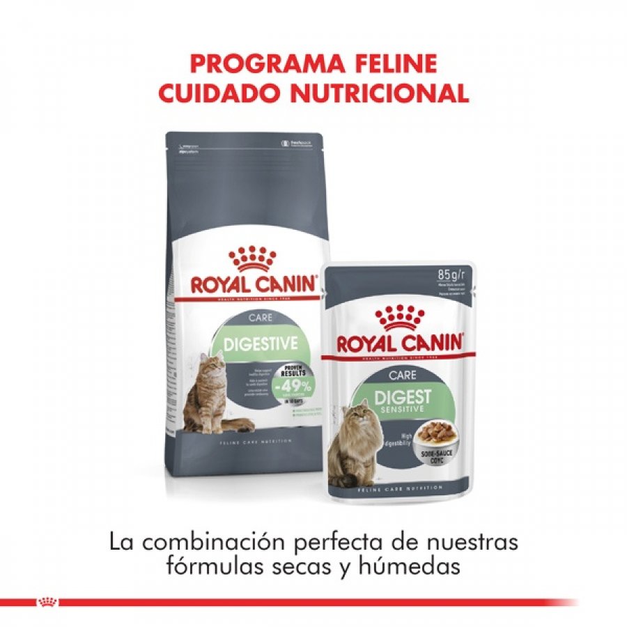Royal Canin Royal Canin Adulto Digestive Care alimento para gatos, , large image number null
