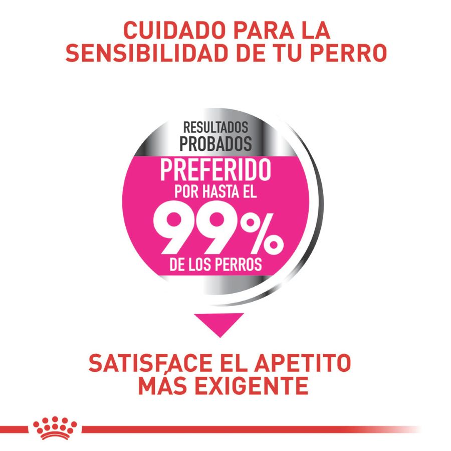 Royal canin alimento seco para perro Mini exigent, , large image number null