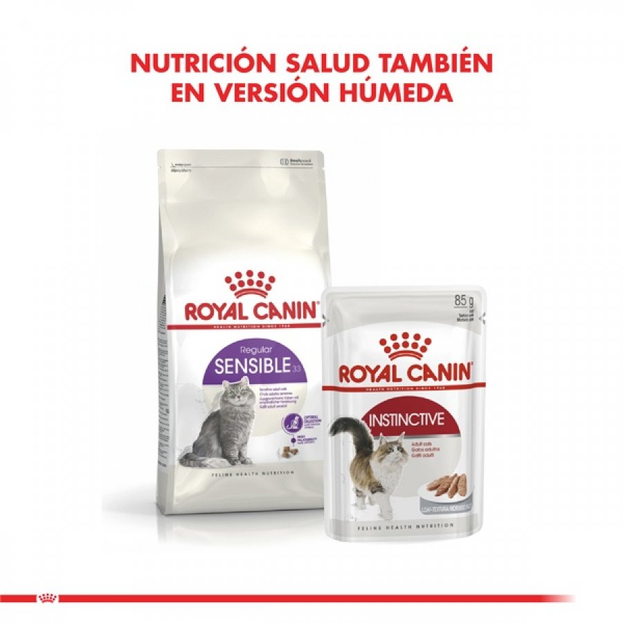 Royal Canin adulto Sensible alimento para gato, , large image number null