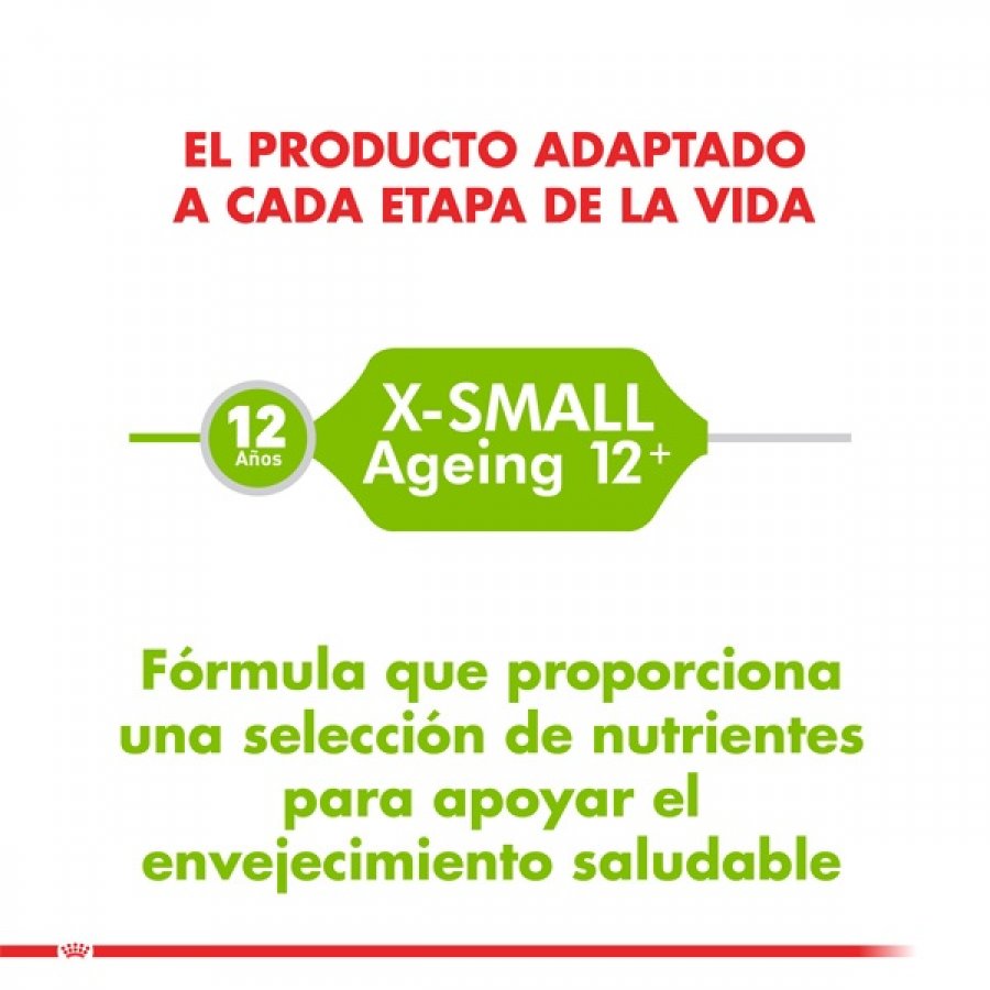 Royal canin alimento seco perro adulto x-Small ageing 12+ 1KG, , large image number null