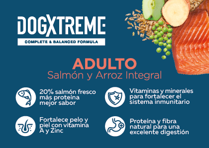 Dogxtreme Adult Salm&oacute;n y arroz alimento para perro, , large image number null