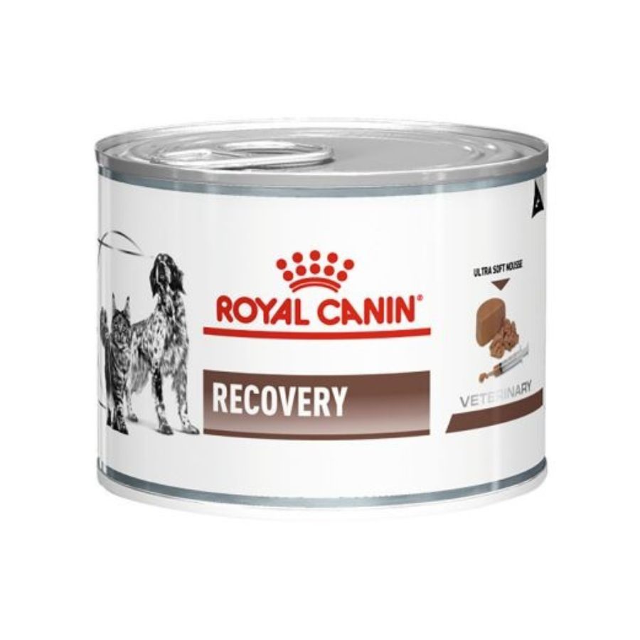 Royal Canin Alimento Húmedo Perro Adulto Recovery, , large image number null