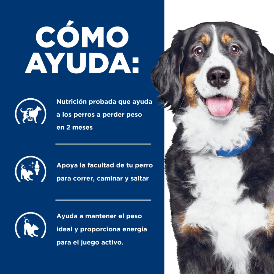 Hills Canine Metabolic + Mobility, , large image number null