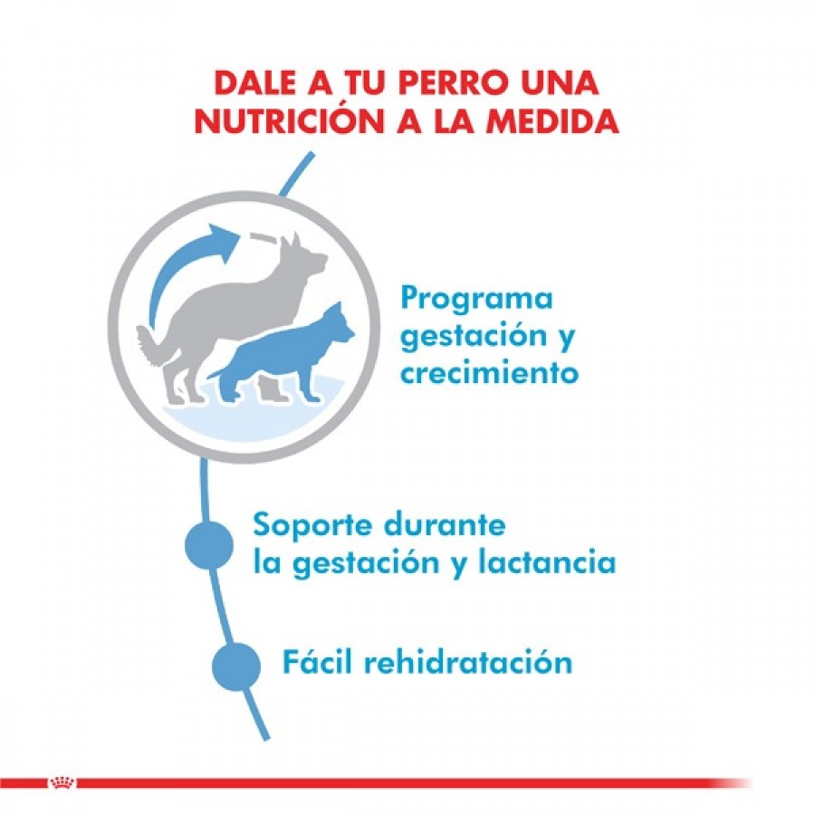Royal Canin Cachorro Maxi Starter alimento para perro, , large image number null