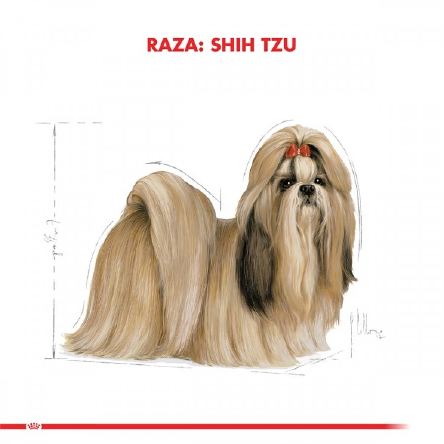 Royal Canin adulto Shih Tzu alimento para perro, , large image number null